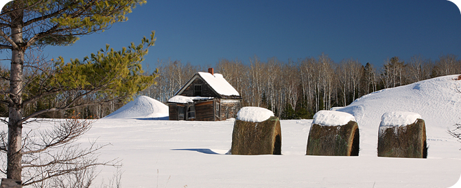 Scenery/Landscape Header Photo